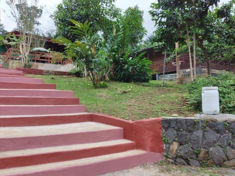 Guest House Quinta Natural Bangalots Graca Eksteriør billede