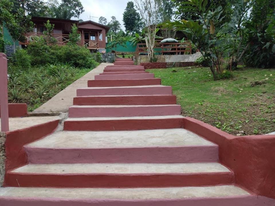 Guest House Quinta Natural Bangalots Graca Eksteriør billede