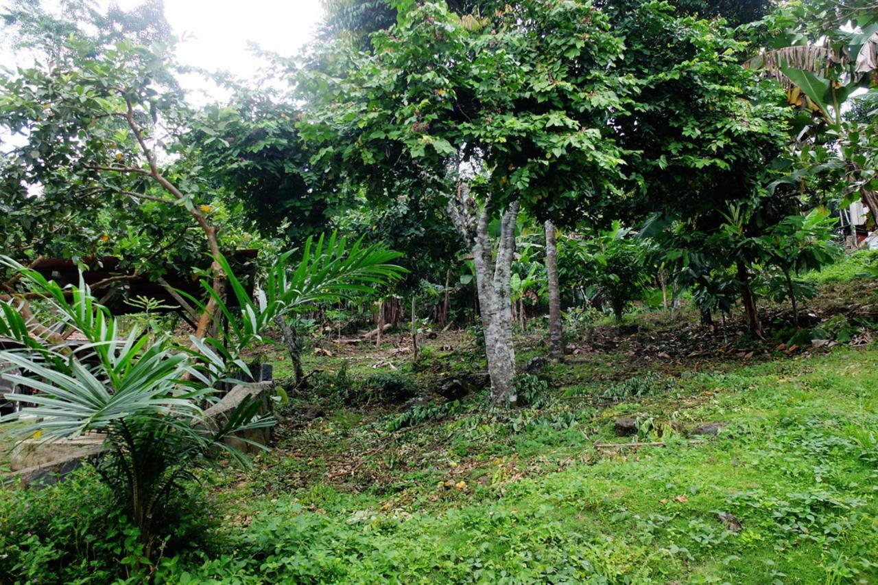Guest House Quinta Natural Bangalots Graca Eksteriør billede