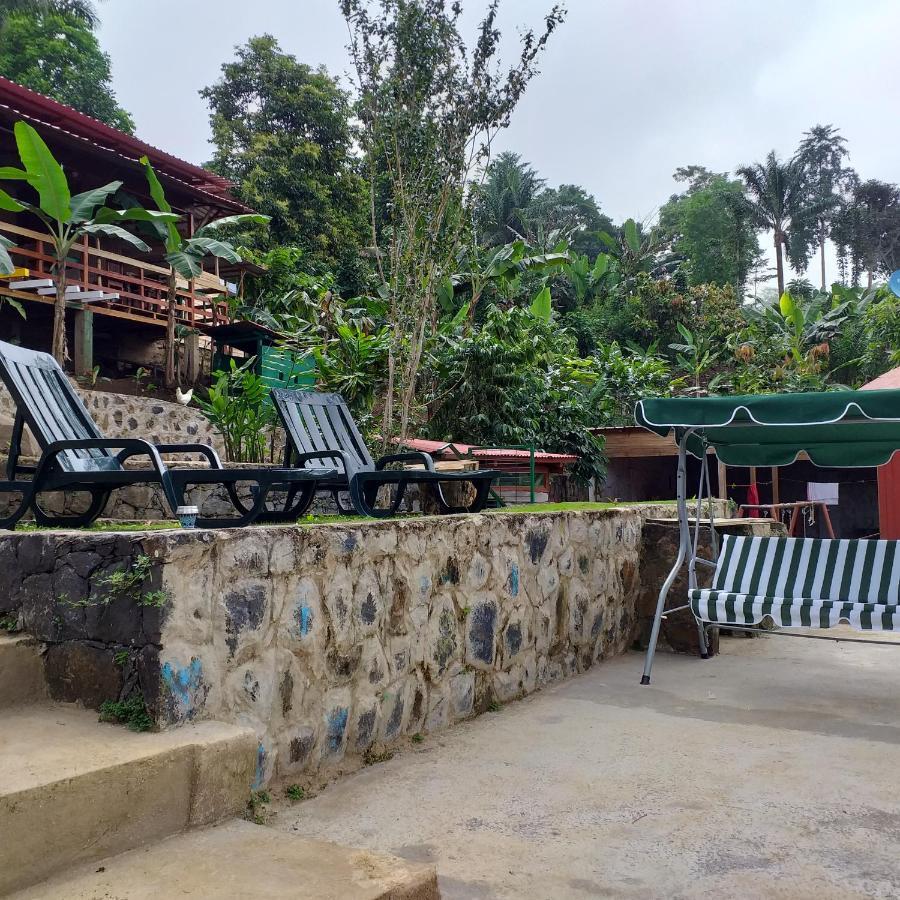 Guest House Quinta Natural Bangalots Graca Eksteriør billede