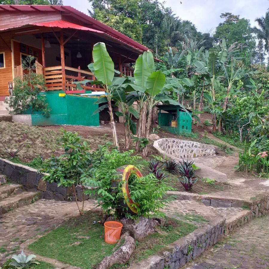 Guest House Quinta Natural Bangalots Graca Eksteriør billede