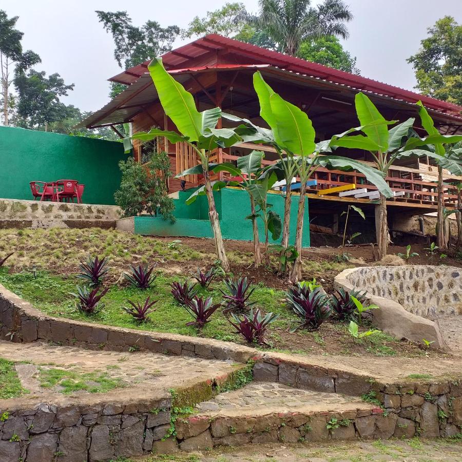 Guest House Quinta Natural Bangalots Graca Eksteriør billede